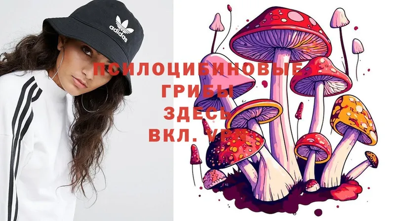 Галлюциногенные грибы Magic Shrooms  Ярцево 